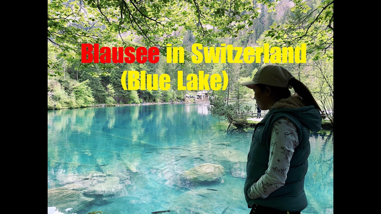 Blausee in Switzerland | blue lake | trout fish | 