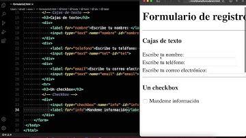 Formulario con checkbox, radiobutton y select en HTML
