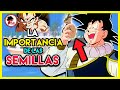 DBS: La IMPORTANCIA de las SEMILLAS del ERMITAÑO en Dragon Ball Super