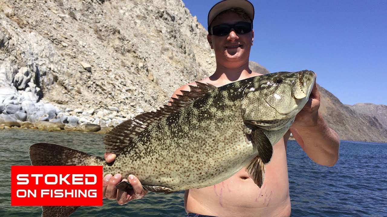 Fishing Grouper and Tortuava at Gonzaga Bay, Mexico Part 1 YouTube