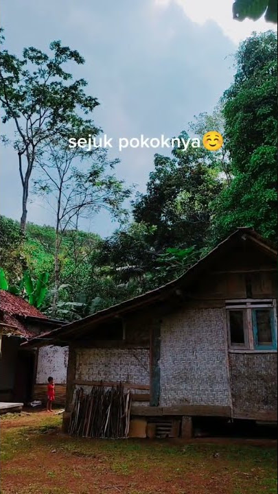 Suasana dikampung yang indah, story wa 30 detik #shorts #videoshorts @DNDCREATIVECHANNEL