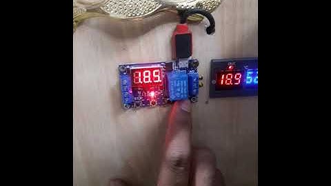 Programmable Incubator Egg turner Timer