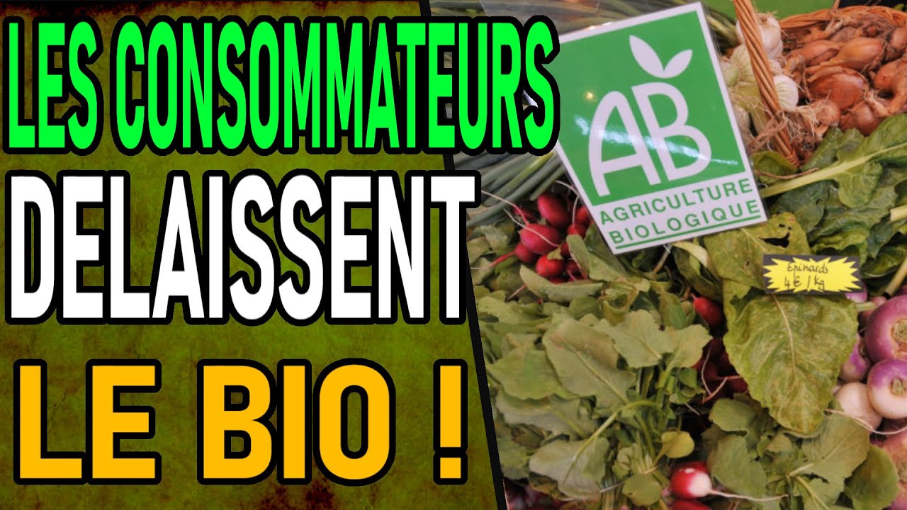 AGRICULTURE : Le Bio En Faillite