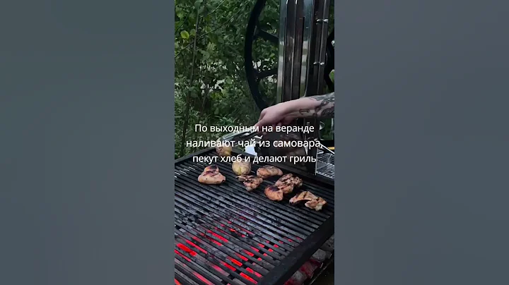 Snapinsta app video 372640575 964665464617278 7874691685867696017 n mp4