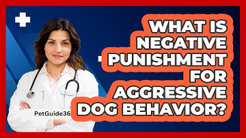 What Is Negative Punishment For Aggressive Dog Behavior? - PetGuide360.com