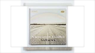 I Wrote This Song for the Girl Paris Hilton - Vincent Gallo