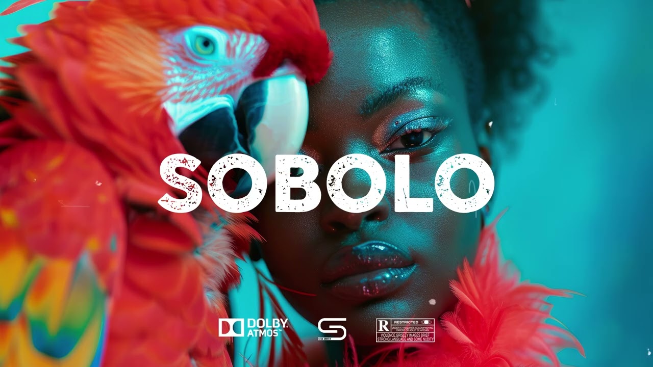 Afro Dancehall Instrumental 