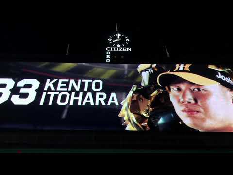 阪神 糸原健斗選手登場曲♪ビジョン演出2020年→2021年の違い