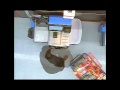 Counterfeit Credit Cards--Walmart & Home Depot--5825 W. Hope Avenue & 4155 N. Port Washington Road