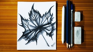 How to Draw a Maple Leaf | Easy Drawing with Pencil Sketching |  Step-by-step