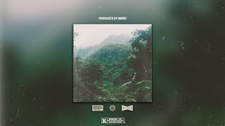 : Jungle
