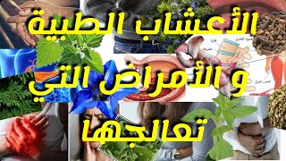 الأعشاب الطبية و الأمراض التي تعالجها