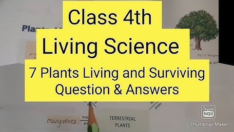 Class 4th || Living Science || 7. Plants Living and Surviving // Question and Answers