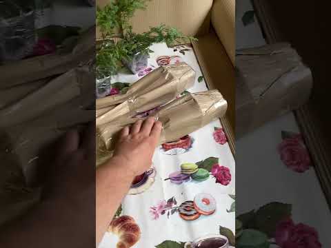 Отправка растений почтой