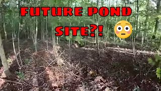 You Want Us To Build A Pond Where This Might Be Difficult Pond In The Woods Project!!