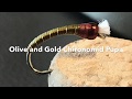 Olive &amp; Gold Chironomid Pupa Fly