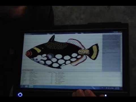 Develop Multi Touch Applications using Embarcadero RAD Studio 2010