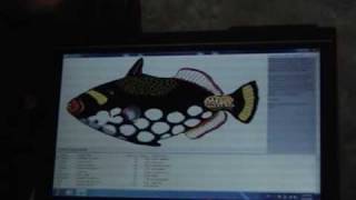 Develop Multi Touch Applications using Embarcadero RAD Studio 2010
