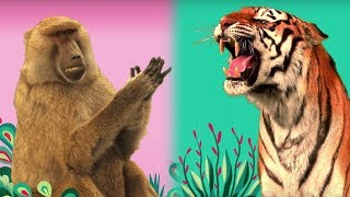 StoryBots | 🐻 Animal Songs! 🦁 | Listen and Learn Songs | Netflix Jr