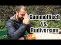 NICHTS FÜR SCHWACHE NERVEN! Gammelfisch gegen Rudi #gammelfisch #rudiversum