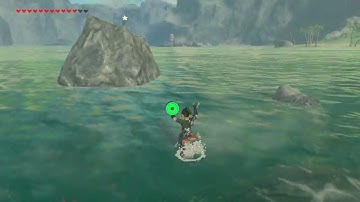 [DAY 452] of finding one korok seed everyday until Botw2 comes out