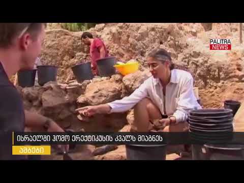 ისრაელში ჰომო ერექტიკუსის კვალს მიაგნეს