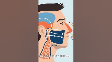 You CAN’T Hum While Holding Your Nose?! TRY IT NOW! 🤯🎶👃 #Short #didyouknow