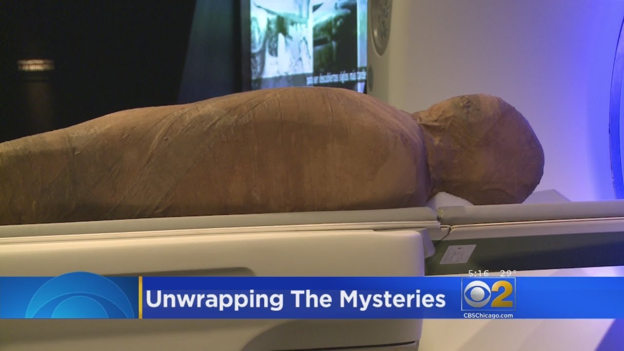 A Sneak Peek At The Field Museum's New Mummies YouTube