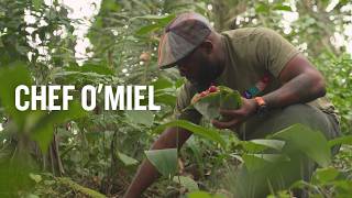 Let's Protect Gabon: Chef O'Miel