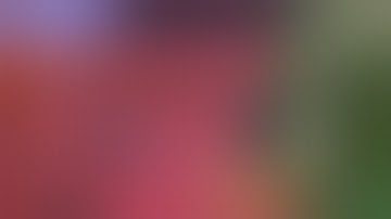 ЛУЧШИЙ БЕСПЛАТНЫЙ ХОСТИНГ ДЛЯ ДИСКОРД БОТОВ | BEST FREE HOSTING FOR DISCORD BOTS