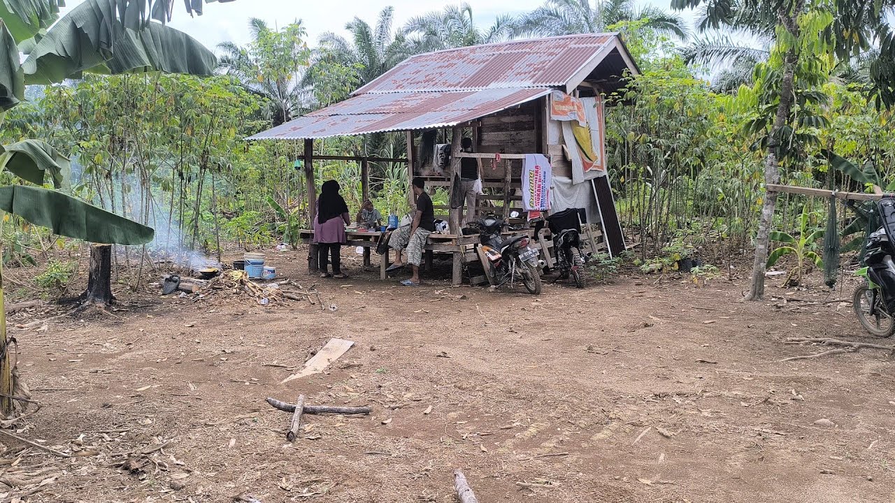 Kegiatan mak WADUD diluar camping. Melihat kebun yg lama terbengkalai. Banyak kegiatan seru. 