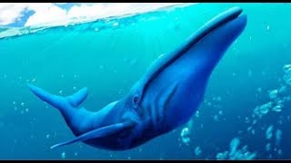 Blue Whale Simulator 3D Android Gameplay FHD screenshot 4