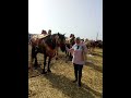     الشاب عبدو الصغير غبنتني