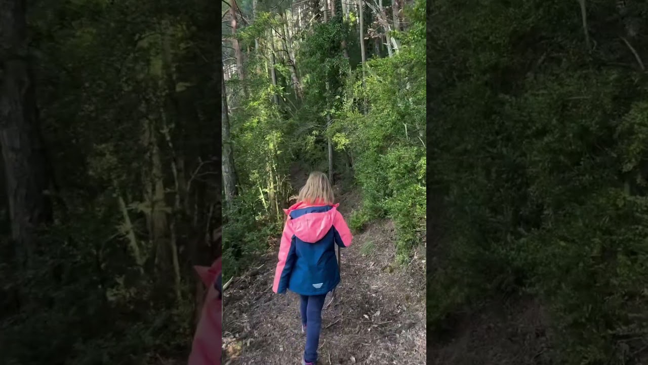 Ruta As Foyas Villanúa 🌿 Senderismo fácil en el Pirineo Aragonés | Qué ver en Huesca