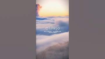 ﴿سورة الإخلاص﴾ #قران_كريم #المصحف #راحة_نفسية #لايك
