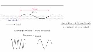 4.8 - Video 4 - Introduction to Simple Harmonic Motion Net Worth