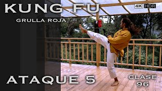 Grulla Roja técnica y ataque 5 / Clase 96 Kung Fu Wushu