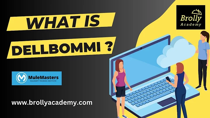 What is dellboomi ? -  overview of dellboomi