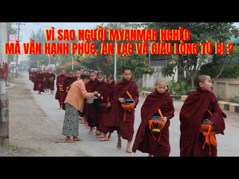 🔴Vì sao người