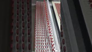 Weet Wfj Cbb21X 5Mm Mini Metallized Polypropylene Film Capacitor Checking Marking And Outlineprocess