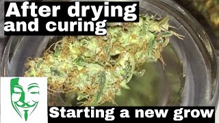 PC Grow box harvest Autoflower after drying and starting a new grow! #8 Weed VLOG In this VLOG you will see my last harvest after 2 weeks of drying and also different stages of my new grow :) In this grow i had a lot off