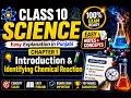 Chemical Reactions and Equations | Introduction & Identification | Class 10 Science | Punjabi