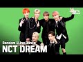 [랜덤1열댄스] RANDOM 1LINE DANCE NCT DREAM (엔시티 드림)