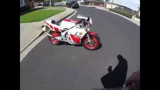 1987 Yamaha YSR50 Walk Around