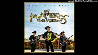 Tu - Alameños De La Sierra EPICENTER