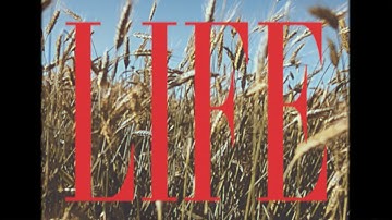 Johnny Hunter - Life (Lyric Video)