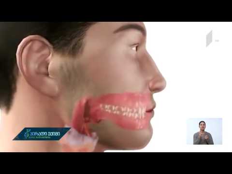 რა ფაქტორებზეა დამოკიდებული ორგანიზმში საჭმლის მომნელებელი სისტემის გამართული მუშაობა