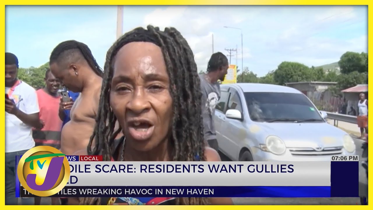 ⁣Crocodile Scare: Residents Want Gullies Cleaned | TVJ News