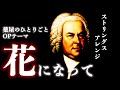 The Apothecary Diaries OP Song : Be a Flower Strings Arrangement