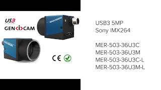 Vision Camera GigE USB3 with Sony IMX264 sensor for industrial applications